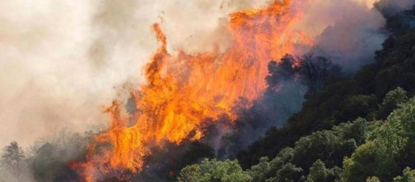 Φωτιά στην Καστανιά Μάνης: Εκκενώθηκαν οι οικισμοί Καστάνια, Άγιος Νικόλαος και Κόκκινα Λουριά